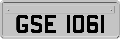GSE1061