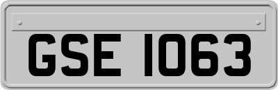 GSE1063
