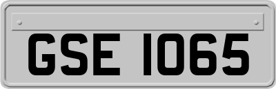 GSE1065