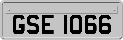 GSE1066