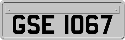 GSE1067