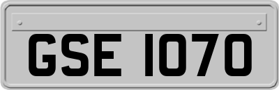 GSE1070