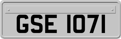 GSE1071