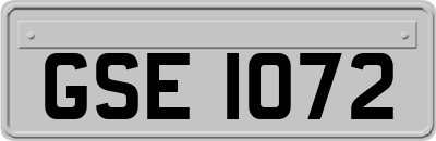 GSE1072