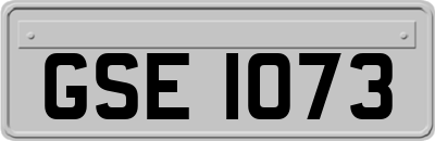 GSE1073