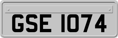 GSE1074