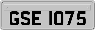 GSE1075