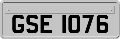 GSE1076
