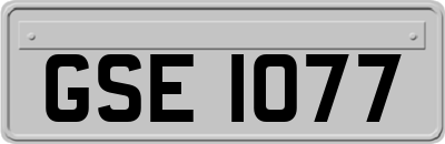 GSE1077
