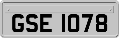 GSE1078