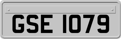 GSE1079