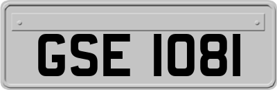 GSE1081