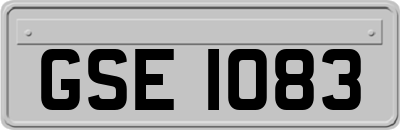 GSE1083