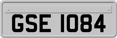 GSE1084