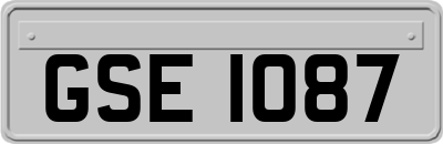 GSE1087