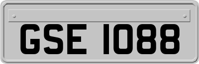 GSE1088