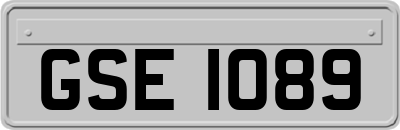 GSE1089
