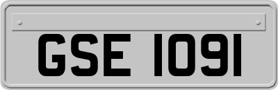 GSE1091