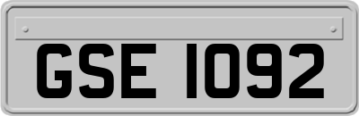 GSE1092