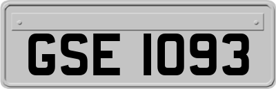 GSE1093