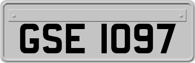 GSE1097