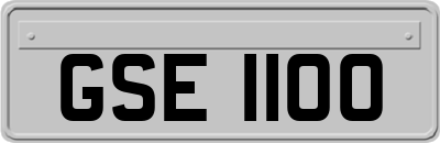 GSE1100