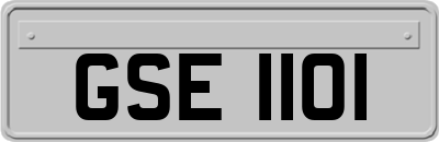 GSE1101