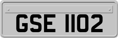 GSE1102