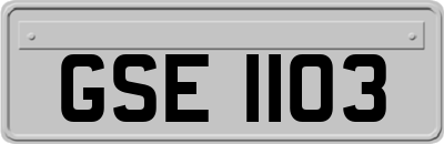 GSE1103