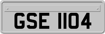 GSE1104