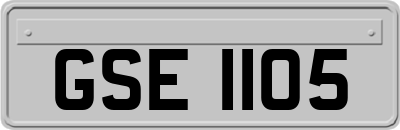 GSE1105