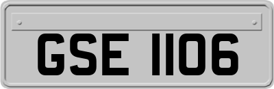 GSE1106