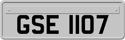 GSE1107