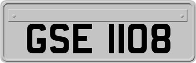 GSE1108