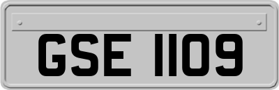 GSE1109