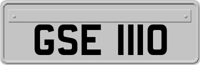GSE1110