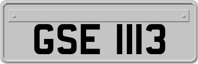 GSE1113
