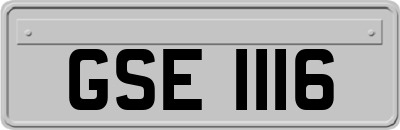 GSE1116