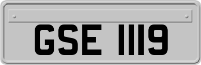 GSE1119