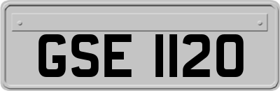 GSE1120