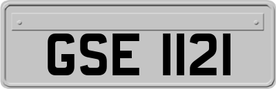 GSE1121