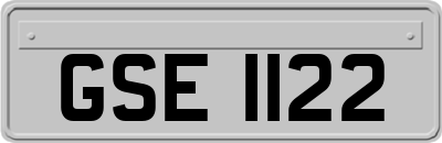 GSE1122