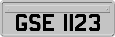 GSE1123