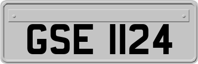 GSE1124
