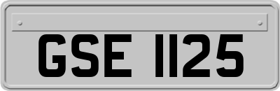GSE1125