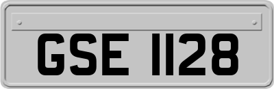 GSE1128