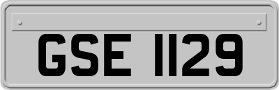 GSE1129