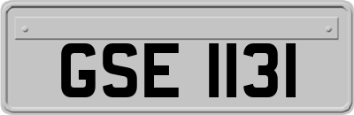 GSE1131