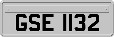 GSE1132
