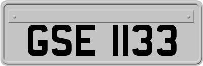 GSE1133